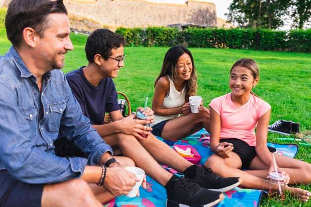 Multiracial family enjoying drinks in lawn on picnic model released, Symbolfoto, DMMF00165