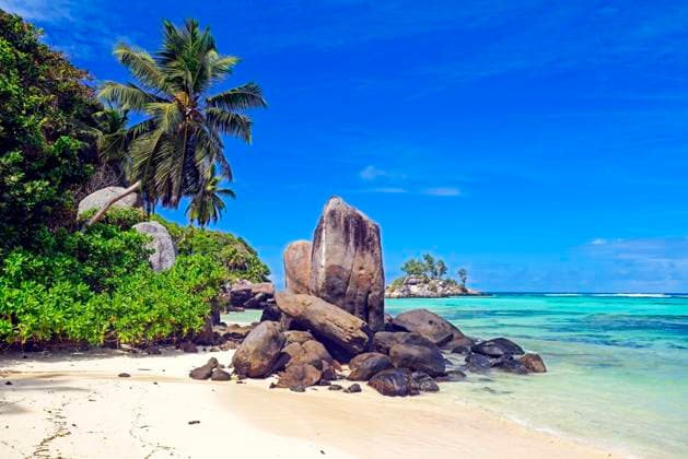  Kokospalmen und Granitfelsen am Traumstrand Anse Royal, Insel Mahe, Seychellen, Afrika *** Coconut palms and Granite rocks on Dream beach Anse Royal Island mahe, seychelles, Africa Copyright: imageBROKER/IngoxSchulz ibxisb08762760.jpg