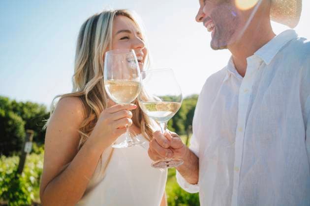 Happy couple toasting wine at winery on sunny day model released, Symbolfoto, MDOF00016