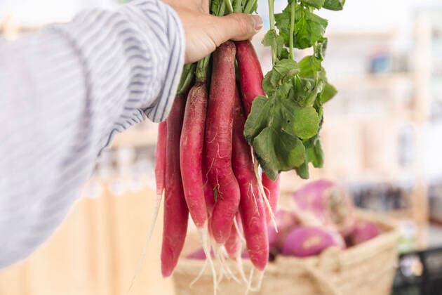 Hand of woman holding bunch of fresh radish model released, Symbolfoto property released, PCLF00132