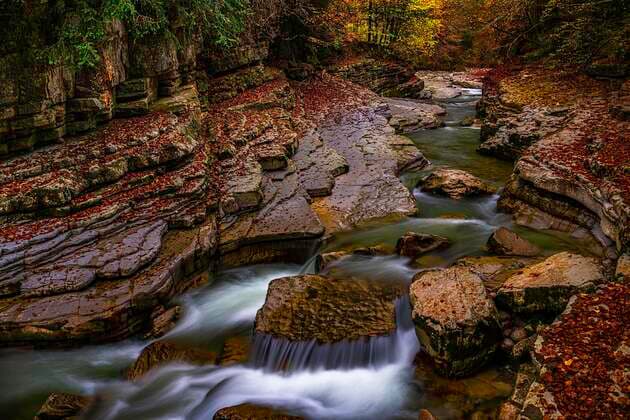 Creative Highlights World Herbststimmung am Bachlauf der Taugl oder Tauglbach, Naturschutzgebiet Tauglgries, Tennegau, Bad Vigaun, Östereich *** Autumn mood on course of the stream the Taugl Or Tauglbach, Nature reserve Tauglgries, Tennessee, Bathroom vigaun, Austria Copyright: imageBROKER/DetlefxDenne ibxdet08760673.jpg