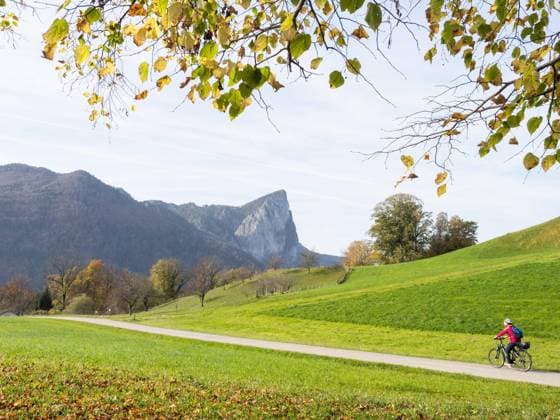 Radfahrerin fährt auf dem Mondsee-Radweg, Herbststimmung am Mondsee, hinten die Drachenwand, bei Loibichl, Salzkammergut, Oberösterreich, Österreich, Europa