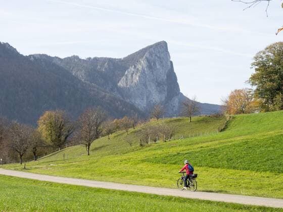 Radfahrerin fährt auf dem Mondsee-Radweg, Herbststimmung am Mondsee, hinten die Drachenwand, bei Loibichl, Salzkammergut, Oberösterreich, Österreich, Europa *** Radfahrerin drives at the Mondsee Bike path, Autumn mood on Mondsee, at the back the dragon wall, at Loibichl, Salzkammergut, Upper Austria, Austria, Europe Copyright: imageBROKER Karl-HeinzxSchein ibxksc08760974.jpg ,model released, Symbolfoto ,property released