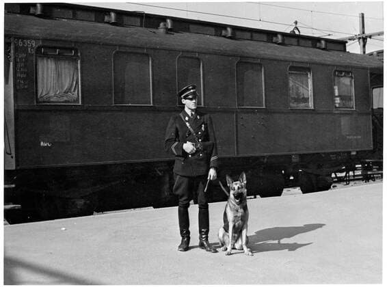RECORD DATE NOT STATED Swedish railway police with a shepherd dog in front of a German military train on its way to Norway during the Second World War. Here at Östersund Central Station. The wagon behind the dog driver is a German C3ITR, the traglastenwagnen, from the 1910s. Tt. Copyright: xpiemagsx swrailpie25102022-40751 !ACHTUNG AUFNAHMEDATUM GESCHÄTZT!
