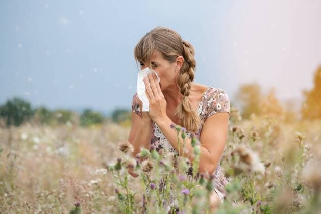RECORD DATE NOT STATED A woman sits in a hay meadow and snorts in a handkerchief, model released, , 36259294.jpg, meadow, sneezing, hay fever, allergy, cold, spring, woman, snip, handkerchief, sick, allergic, flowers, meadow flowers, pollen, petals, flower meadow, grass, hay, dress, summer dress, pretty, young, outdoor, sky, clouds, sun, Sunny