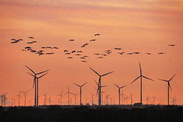 Kraniche fliegen am 06.11.2022 am Abendhimmel vor einer Skyline mit Windraedern bei Straussfurt. Die Kraniche machen in Thueringen Station, um in ihre Winterquartiere weiterzufliegen. Cranes fly in the evening sky in front of a skyline with wind turbines near Straussfurt on November 6th, 2022. The cranes make a stop in Thuringia to fly on to their winter quarters. search: Deutschland Thueringen Tier Tiere Tierreich Tierwelt Fauna Vogel Voegel Zugvogel Kranich Kraniche Schwarm Vogelschwarm Zugvoegel Zugvogel Aussenaufnahme Wetter Wetterfeature Herbstfeature Herbstbild Feature Landschaften Landschaftsfoto Landschaftsphoto Abendhimmel Herbstwetter Herbst Natur Naturfoto Naturphoto Wetterfeature Wetterfoto Wetterbild Wetterphoto Uebersicht To