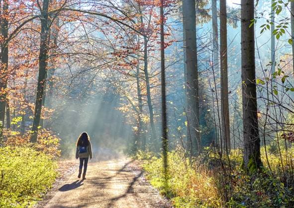 A woman is walking through the forest in autumn, forest bathing, or shinrin-yoku on November 13, 2022 in Pfaffenhofen a.d.Ilm, Bavaria, Germany. Forest bath has the power to counter illnesses including cancer, strokes, gastric ulcers, depression. The term emerged in Japan in the 1980s as a physiological and psychological exercise called shinrin-yoku forest bathing or taking in the forest.