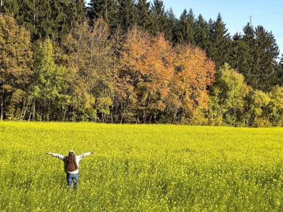 A woman is walking through the forest in autumn, forest bathing, or shinrin-yoku on November 13, 2022 in Pfaffenhofen a.d.Ilm, Bavaria, Germany. Forest bath has the power to counter illnesses including cancer, strokes, gastric ulcers, depression. The term emerged in Japan in the 1980s as a physiological and psychological exercise called shinrin-yoku forest bathing or taking in the forest.