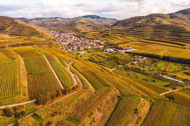 German wine culture landscape in autumn most beautiful hiking areas drone aerial view from Autumn colored vineyards in the Kaiserstuhl Germany Vogtsburg im Kaiserstuhl Oberrotweil Baden-Württemberg Deutschland