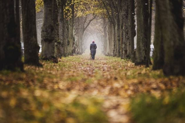 Eine Frau spaziert durch eine bunte Allee in Berlin, 16.11.2022. Berlin Deutschland *** A woman walks through a colorful avenue in Berlin, 16 11 2022 Berlin Germany Copyright: xFlorianxGaertner photothek.dex