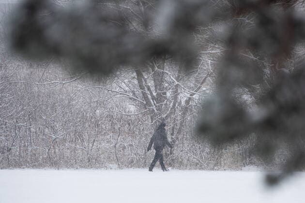 November 16, 2022, Ottawa, ON, Canada: A person makes their way through Dominion Arboretum in Ottawa on Wednesday, Nov., 16, 2022. According to Environment Canada a winter weather travel advisory is in effect with snowfall amounts reaching 5 cm, the first significant snowfall of the season. Ottawa Canada  - ZUMAc35_ 20221116_zaf_c35_042 Copyright: xSpencerxColbyx