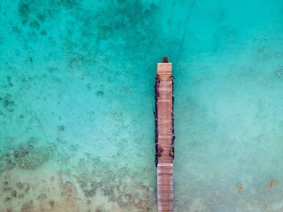 Niederländische Karibik Beach and Pier at playa Kalki in Curacao, tropical beach from the sky drone view at beach with palm tree Beach and Pier at playa Kalki in Curacao, tropical beach from the sky drone view at the beach with palm tree Curacao Copyright: xZoonar.com FokkexBaarssenx 16979966