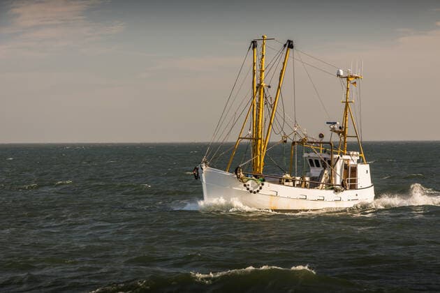 Fischkutter auf der Nordsee Fischkutter auf der Nordsee, Büsum, Nationalpark Schleswig-Holsteinisches Wattenmeer, Schleswig-Holstein, Deutschland Fishing trawler on the North Sea off the coast of Buesum, Schleswig-Holstein Wadden Sea National Park, Schleswig-Holstein, Germany Copyright: xZoonar.com ConnyxPokornyx 17677342