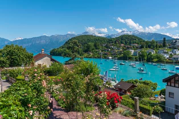 Blick vom Rosengarten Le Roselier auf den Thunersee in Spiez Blick vom Rosengarten Le Roselier auf den Thunersee, Spiez, Berner Oberland, Schweiz, Europa Copyright: xZoonar.com JürgenxWackenhutx 18124246