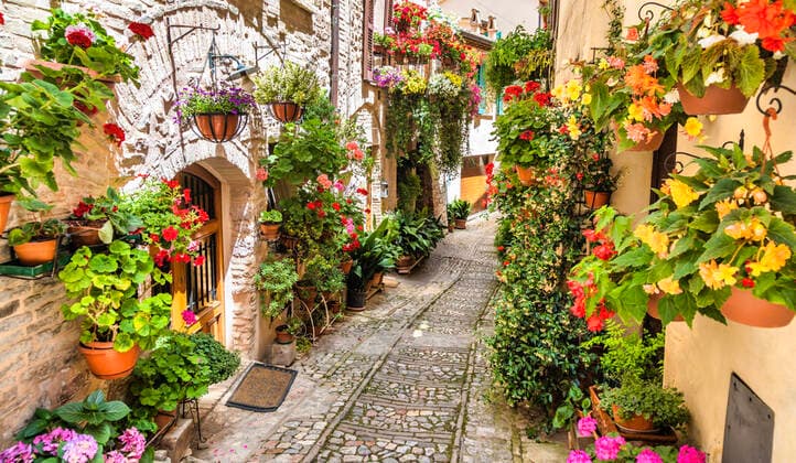 Flowers in ancient street located in Spello village. Umbria Region, Italy. Spello, Italy - Circa June 2021: flowers in ancient street. Spello is located in Umbria region, Italy. Copyright: xZoonar.com PaoloxGallox 18611821