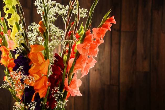 Composition with bouquet of gladiolus flowers. Composition with bouquet of gladiolus flowers. Copyright: xZoonar.com monticellox 9723063