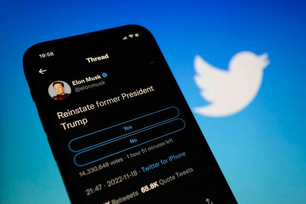 November 19, 2022, Asuncion, Paraguay: Elon Musk s Twitter account displayed on a smartphone. Elon Musk polls its users on whether to reinstate former U.S. President Donald Trump s account on Twitter. Asuncion Paraguay - ZUMAc217 20221119_zip_c217_001 Copyright: xAndrexM.xChangx