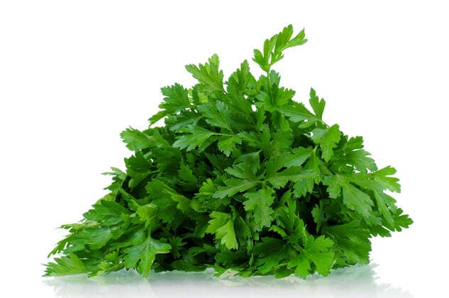 RECORD DATE NOT STATED Fresh green leaves of parsley on white background , 7502662.jpg, parsley, aromatic, leaf, food, green, herb, fresh, garnish, isolated, raw, sprig, spice, white, background, flora, healthy, meal, natural, nature, object, organic, plant, vegetable, vegetarian, vegetation, grass, closeup, freshness, ingredient, macro, close-up, culinary, herbal, medicinal, cilantro, condiment, cuisine, flavor, flavouring, foliage, fragrant, grow, horticulture, nutrition, sheaf, vitamin, tied, posy, bundle, bunch,