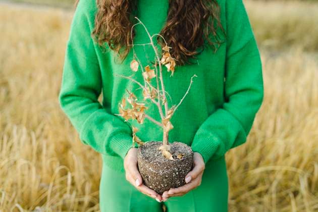 Creative Highlights Symbolbilder Woman standing with plant at field model released, Symbolfoto, SEAF01435