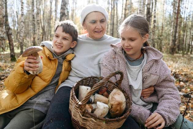 Senior woman looking at girl sitting by boy holding mushroom in forest model released, Symbolfoto, EYAF02272