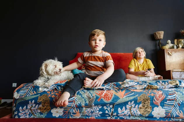 Creative Highlights Symbolbilder Siblings with dog sitting on the bed at home model released, Symbolfoto property released, EYAF02333