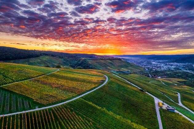 Germany, Baden-Wurttemberg, Drone view of hillside vineyard at dramatic sunrise, STSF03617
