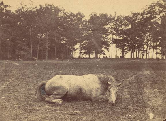RECORD DATE NOT STATED Is This Death - Antietam Battlefield, September 1862, 1862. Creator: Alexander Gardner. Copyright:xHeritagexArt HeritagexImagesx IMAGO ,2778339 ! ACHTUNG: AUFNAHMEDATUM GESCHÄTZT!  Copyright:HeritagexArt HeritagexImagesx IMAGO