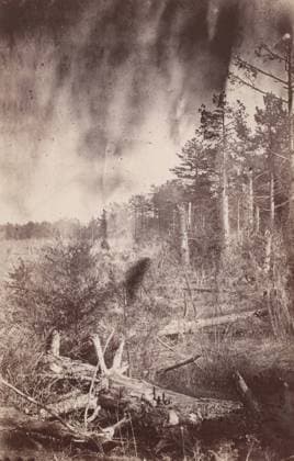 RECORD DATE NOT STATED The Wilderness Battlefield, 1864. Creator: Unknown. Copyright:xHeritagexArt HeritagexImagesx IMAGO ,2780925 ! ACHTUNG: AUFNAHMEDATUM GESCHÄTZT!  Copyright:HeritagexArt HeritagexImagesx IMAGO