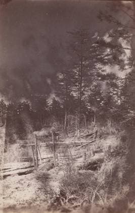RECORD DATE NOT STATED The Wilderness Battlefield, 1864. Creator: Unknown. Copyright:xHeritagexArt HeritagexImagesx IMAGO ,2780963 ! ACHTUNG: AUFNAHMEDATUM GESCHÄTZT!  Copyright:HeritagexArt HeritagexImagesx IMAGO