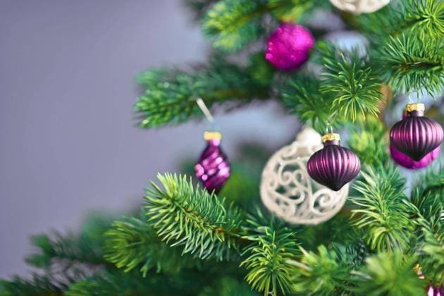  Close up von schönen lila Glas Baumkugel mit geschmückten Weihnachtsbaum mit anderen saisonalen Baumschmuck auf hellen violetten Hintergrund *** Close up from beautiful purple Glass Tree ball with adorned Christmas tree with others seasonal Tree decorations at bright purple Background Copyright: imageBROKER/Firn ibxmob08832182.jpg