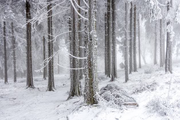 Winterwetter im Taunus Die Landschaft rund um den Großen Feldberg im Taunus zeigt sich am zweiten Advent winterlich mit einer dünnen Schneedecke und Raureif an den Bäumen und Pflanzen. Zahlreiche Menschen war für einen Ausflug in den Hochtaunus gekommen., Schmitten Hessen Deutschland *** Winter weather in the Taunus The landscape around the Great Feldberg in the Taunus shows on the second Advent wintry with a thin blanket of snow and hoarfrost on the trees and plants Numerous people had come for a trip to the High Taunus , Schmitten Hesse Germany
