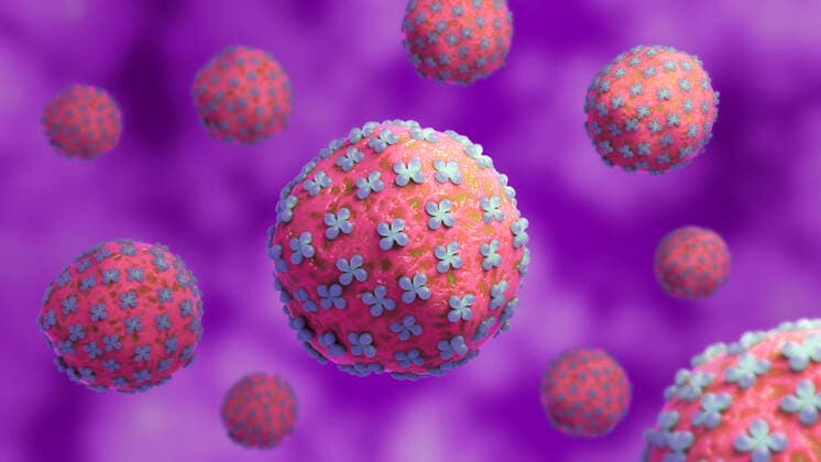 Conceptual biomedical illustration of the Hantaan virus. model released Copyright: StocktrekxImages STK701617H