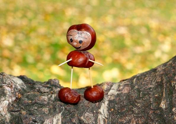 Niedliche Kastanienfigur auf Birkenstamm cute chestnut figure on birch stem BLWS677110 *** cute Chestnut figure at Birch trunk cute Chestnut Figure ON Birch Stem BLWS677110 Copyright: xblickwinkel B.xRainerx