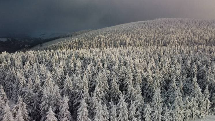 Der Winter ist mit aller Macht da und legt pünktlich morgen zum Berufsverkehr eine Schippe drauf. Ein Tief über Ostpolen wird ab den Nachtstunden intensive Schneefälle verursachen, welche pünktlich zum Berufsverkehr arge Probleme verursachen wird. Zuvor gab es aber am Sonntag noch ruhiges tiefwinterliches Wetter. Der Annaberger Weihnachtsmarkt war voller Menschen, die bei Ð 7 ¡C heißen Glühwein tranken. Die tiefwinterliche Landschaft lud auch zwei Reiter ein, um mit ihren Pferden eine Winterwanderung zu unternehmen. Wer es richtig kalt möchte, wird den Fichtelberg nicht missen. Ð 11 ¡C und ein eisiger Wind ließen die gefühlte Temperatur auf unter Ð 15 ¡C fallen. Dies ist dann selbst einem Hund zu kalt. Dieser wärmt sich bei Frauchen unterm