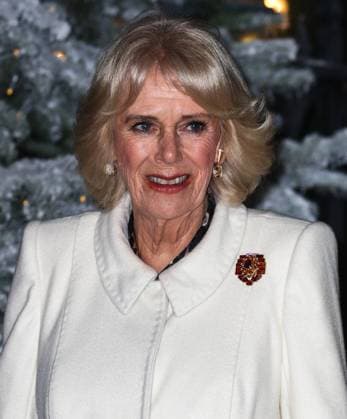 Members of the British Royal family alongside stars of stage and screen attend the Together at Chistmas Royal service at Westminster Abbey Featuring: Camilla, Queen Consort Where: London, United Kingdom When: 15 Dec 2022 Credit: John Rainford Cover Images Copyright: xx 52286351 EDITORIAL USE ONLY. NOT FOR USE BY NEWSPAPERS BASED IN THE UK.