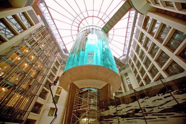 Archivfoto 21102003, Berlin Mitte-Tiergarten: Einzug derersten tropischen Fische von insgesamt 2500 (50 Arten) ins weltweit groesste Zylinder-Aquarium (16m hoch) des neuen DomAquarees, das in wenigen Wochen eroeffnet wird. Aktuell ist heute Nacht der Aquadom explodiert. Ca 100 Feuerwehrleute im Einsatz *** Archivfoto 21102003, Berlin Mitte Tiergarten Move in the first tropical fish of a total of 2500 50 species in the worlds largest cylinder aquarium 16m high of the new DomAquarees, which will be opened in a few weeks Current is tonight the Aquadom exploded Approx 100 firefighters in action