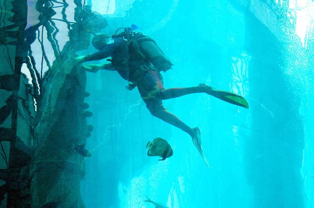 Archiv 15032006, Abtauchen im Suedseewarmen Wasser bei Winterwetter. Algen-Reinigung am Korallenriff in Tauchausruestung im AquaDom der Hotel-Lobby des Radisson SAS an der Karl-Liebknecht- Strasse macht es moeglich. Das Riesenzylinder-Aquarium gehoert zum SeaLife, das am 02.12.2003 im DomAquaree eroeffnet wurde, und kann mit einem Aussichtsfahrstuhl im Innern des Glaszylinders ueber mehrere Etagen befahren werden. Fuer die gute Aussicht auf die Fischschwaerme muss ab und an die Unterwasserwelt von Algen gereinigt werden. Aktuell ist heute Nacht, 16.12.2022 um 05 Uhr 42 das Aquarium explodiert, ca 100 Feuerwehrleute im Einsatz. *** Archive 15032006, Diving in the South Sea warm water in winter weather algae cleaning at the coral reef in d