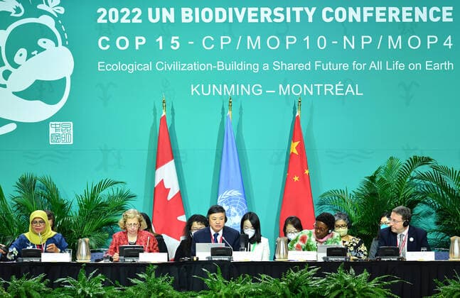 Bilder des Jahres 2022, News 12 Dezember News Themen der Woche KW50 (221216) -- MONTREAL, Dec. 16, 2022 -- The opening ceremony of the high-level segment of the second part of the 15th meeting of the Conference of the Parties to the Convention on Biological Diversity (COP15) is held in Montreal, Canada, Dec. 15, 2022. ) CANADA-MONTREAL-COP15-PART 2-HIGH-LEVEL SEGMENT-OPENING CEREMONY LianxYi 