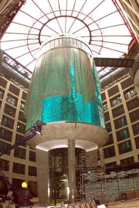Dom-Aquaree 21.10.2003 ,Aquarienattraktion im Dom-Aquaree Erste Fische im Becken nordphoto GmbH *** Dom Aquaree 21 10 2003 ,Aquarium attraction in the Dom Aquaree First fish in the tank nordphoto GmbH nph00076