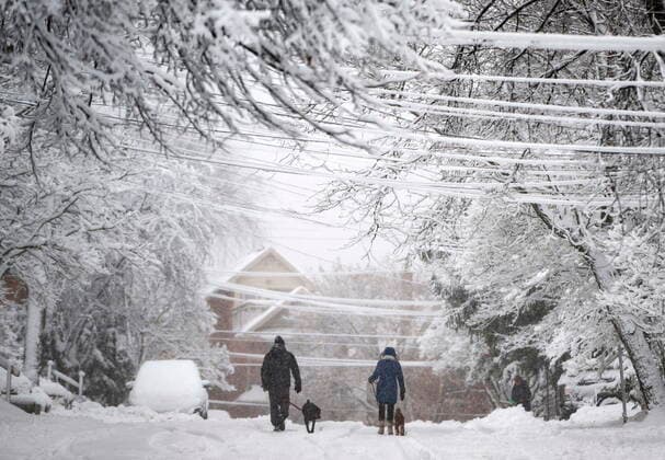 News Bilder des Tages December 16, 2022, Ottawa, ON, CAN: Dog walkers make their way along a street in Ottawa s Glebe neighbourhood, as a snowfall warning is in effect for the region, on Friday, Dec. 16, 2022. Ottawa CAN  - ZUMAc35_ 20221216_zaf_c35_007 Copyright: xJustinxTangx