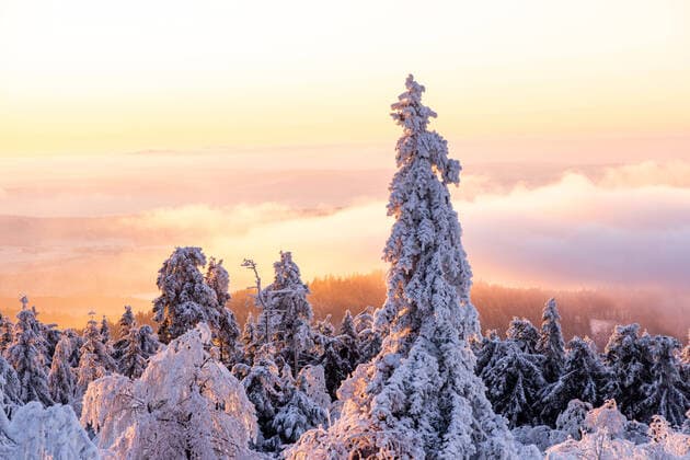 News Themen der Woche KW50 News Bilder des Tages Sonnenuntergang über den Wolken Zahlreiche Menschen beobachten am Abend den Sonnenuntergang auf dem winterlichen Großen Feldberg im Taunus, der aus einer Nebeldecke über dem Hintertaunus herausragt., Schmitten Hessen Deutschland *** Sunset above the clouds Numerous people watch the sunset in the evening on the wintry Großer Feldberg in Taunus, which rises from a blanket of fog above the Hintertaunus , Schmitten Hesse Germany