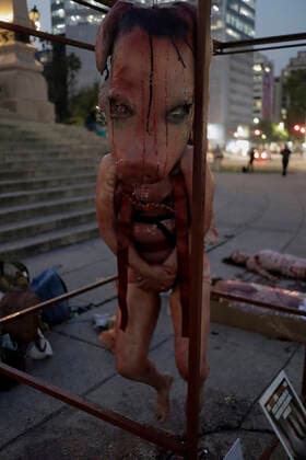 Activists Demonstrate Against Animal Slaughterhouses In Mexico Activist from the organisation Animal Save Mexico, during a performance while others protest in front of the Angel de la Independencia in Mexico City, against animal slaughterhouses in Mexico. Mexico City Mexico City Mexico  Copyright: xGerardoxVieyrax originalFilename: vieyra-notitle221216_npCsv.jpg