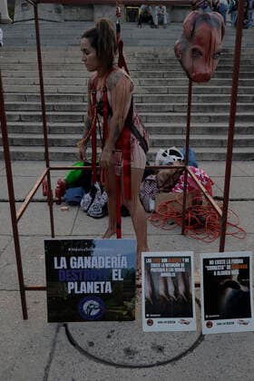 Activists Demonstrate Against Animal Slaughterhouses In Mexico Activist from the organisation Animal Save Mexico, during a performance while others protest in front of the Angel de la Independencia in Mexico City, against animal slaughterhouses in Mexico. Mexico City Mexico City Mexico  Copyright: xGerardoxVieyrax originalFilename: vieyra-notitle221216_npBvW.jpg