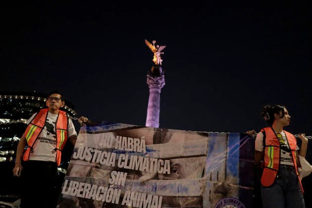 Activists Demonstrate Against Animal Slaughterhouses In Mexico Two activists from the organisation Animal Save Mexico, hold a banner during a protest in front of the Angel de la Independencia in Mexico City, against animal slaughterhouses in Mexico. Mexico City Mexico City Mexico  Copyright: xGerardoxVieyrax originalFilename: vieyra-notitle221216_npVlB.jpg