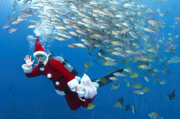 Bilder des Jahres 2022, Entertainment 12 Dezember Entertainment Themen der Woche KW50 Entertainment Bilder des Tages Ein Taucher im Weihnachtsmann-Kostüm schwimmt mit Fischen in einem großen Becken während einer Unterwasser-Performance für die bevorstehende Weihnachtsfeier im Hakkeijima Sea Paradise. Yokohama, 17.12.2022 *** A diver in Santa costume swims with fish in a large tank during an underwater performance for the upcoming Christmas party at Hakkeijima Sea Paradise Yokohama, 17 12 2022. Foto:xK.xNarax xFuturexImage