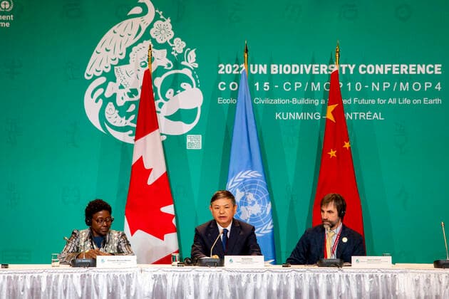 News Bilder des Tages (L-R) The executive secretary of the Convention on Biological Diversity, Elizabeth Maruma Mrema; the president of the UN Conference on Biodiversity COP15, the Chinese Huang Rinqiu; and Canadian Environment Minister Steven Guilbeault, take part in a press conference in Montreal, Canada, 17 December 2022. Differences over financing continue to prevent consensus at the UN Conference on Biodiversity COP15 with 48 hours to go before the meeting concludes, although this Saturday the president of the negotiations, the Chinese Huang Rinqiu, was confident that an agreement would be reached. Biodiversity finance continues to block agreement at COP15 !ACHTUNG: NUR REDAKTIONELLE NUTZUNG!  Copyright: xJulioxCésarxRivasx(es-ES)x AME1386 20221218-d15a236784c4440e69a7f90123c225d5b4071cc7