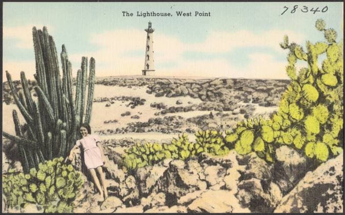 RECORD DATE NOT STATED The lighthouse, West Point , Lighthouses, Cactus, Tichnor Brothers Collection, postcards of the United States Copyright: xpiemagsx postcardpie-13844 !ACHTUNG AUFNAHMEDATUM GESCHÄTZT!
