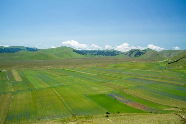 RECORD DATE NOT STATED CASTELLUCCIO DI NORCIA AND ITS FLOWERING BETWEEN MICRO-COLORS OF FLOWERS AND NATURE , 30402104.jpg, castelluccio, umbria, italy, mountain, norcia, nature, landscape, castelluccio di norcia, green, flower, field, summer, sibillini, flowers, countryside, park, mountains, sky, plateau, italia, spring, blue, perugia, rural, clouds, agriculture, plain, hill, natural, grass, meadow, apennines, lentil, monti sibillini, travel, italian, marche, village, country, poppy, yellow, colours, landmark, season, beauty, national park, outdoor, scenic, fioritura, landscapes,
