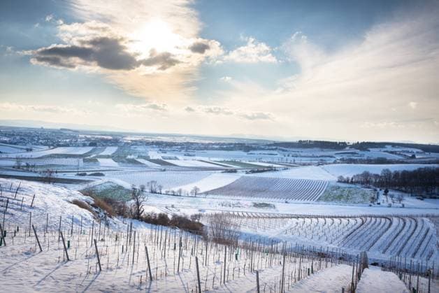sunny winter day with snow at a vineyard in Burgenland Austria sunny winter day with snow at a vineyard in Burgenland Austria Copyright: xZoonar.com EwaldxFrx 17915762