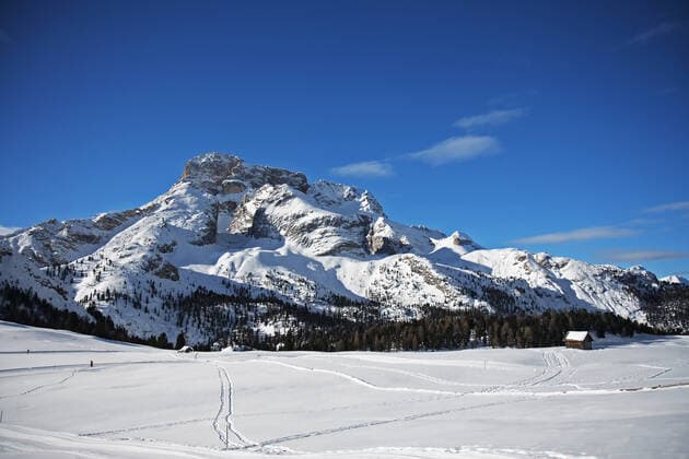 Spuren im Schnee Spuren im Schnee Copyright: xZoonar.com SieghartxMairx 630636